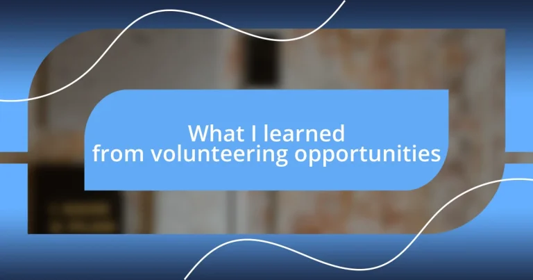 What I learned from volunteering opportunities